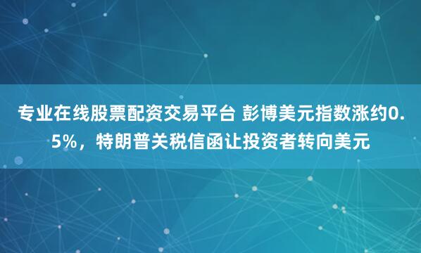 专业在线股票配资交易平台 彭博美元指数涨约0.5%，特朗普关税信函让投资者转向美元